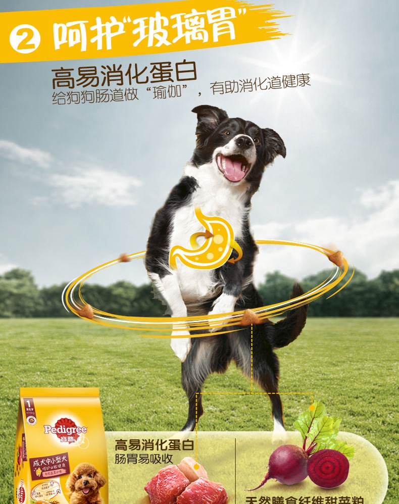 宝路Pedigree 牛肉蔬菜口味中小型犬成犬粮 4kg