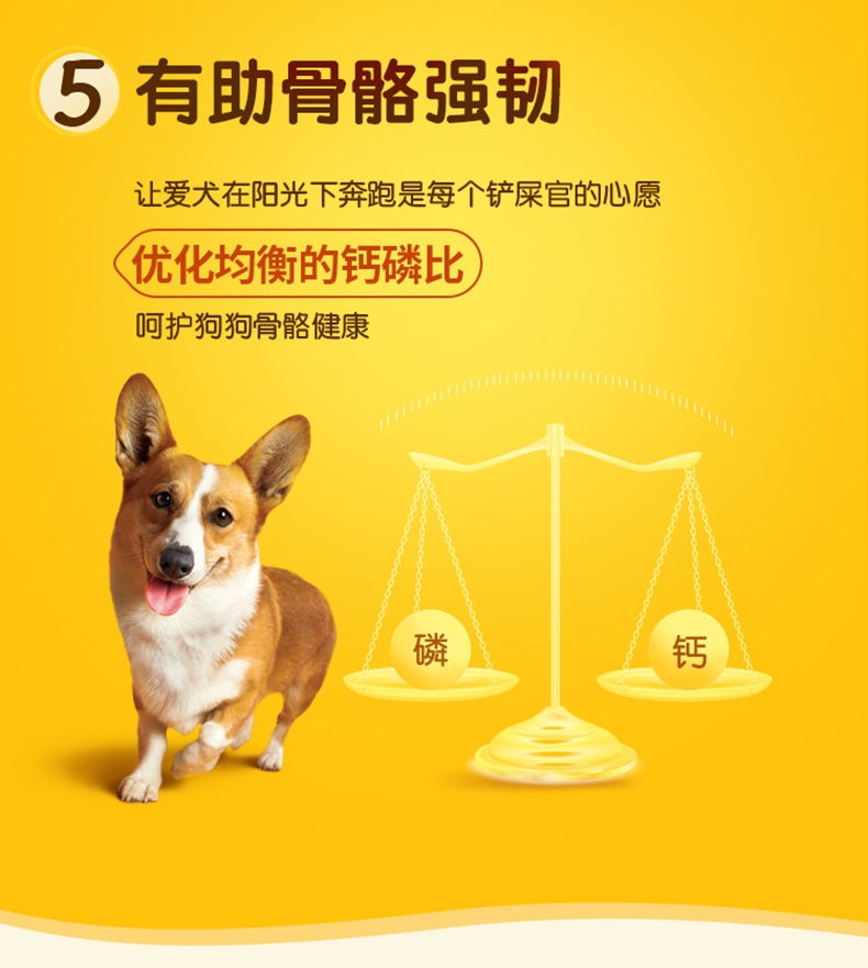 宝路Pedigree 海洋鱼口味中小型犬成犬粮 1.8kg