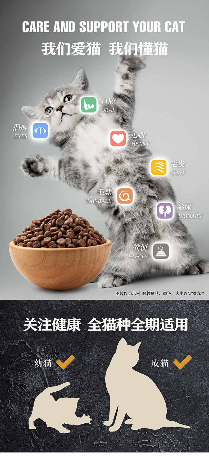 豪爵 全期全猫粮 10kg