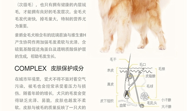豪爵 金毛成犬粮10kg
