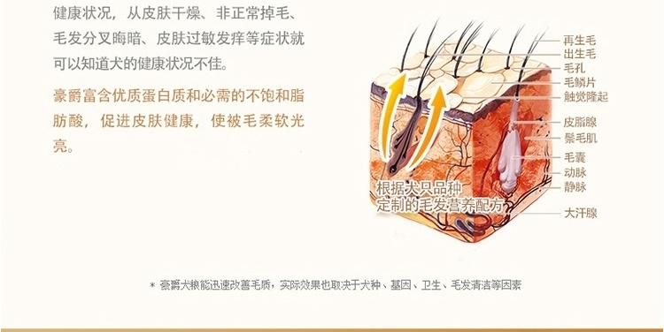 豪爵 金毛成犬粮10kg