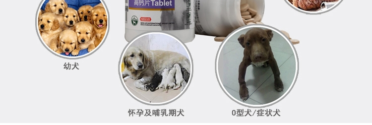 谷登 高钙片200粒 强健骨骼 防止幼犬发育不良改善体质