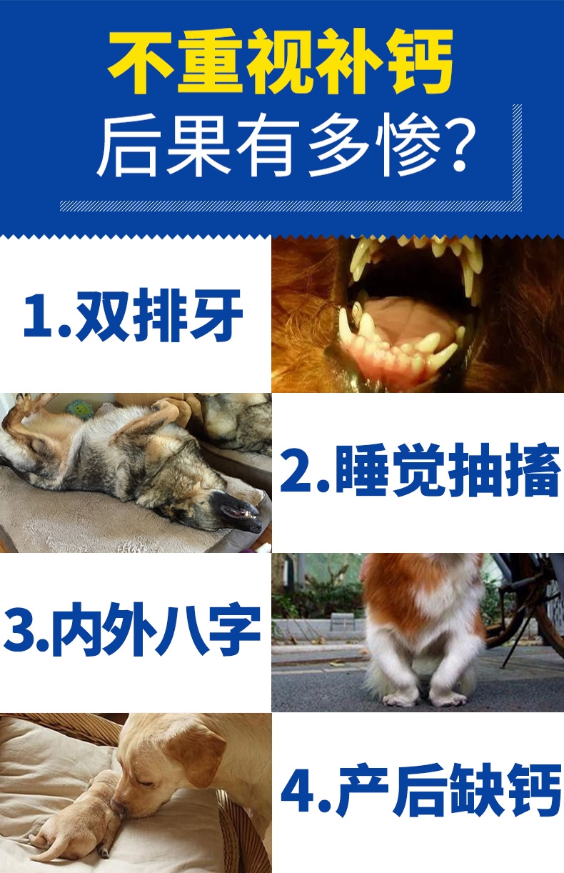 谷登 高钙片200粒 猫狗通用 强健骨骼