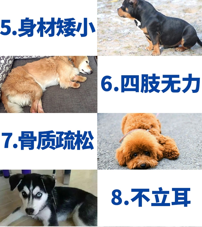 谷登 高钙片200粒 猫狗通用 强健骨骼