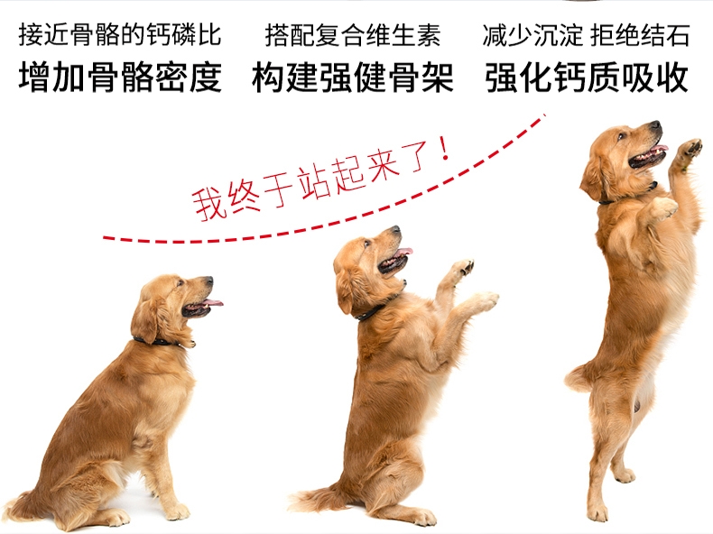 谷登 高钙片200粒 猫狗通用 强健骨骼
