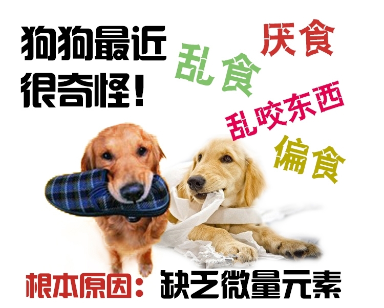 谷登 微量元素片200粒 改善异食癖啃墙吃土咬尾巴