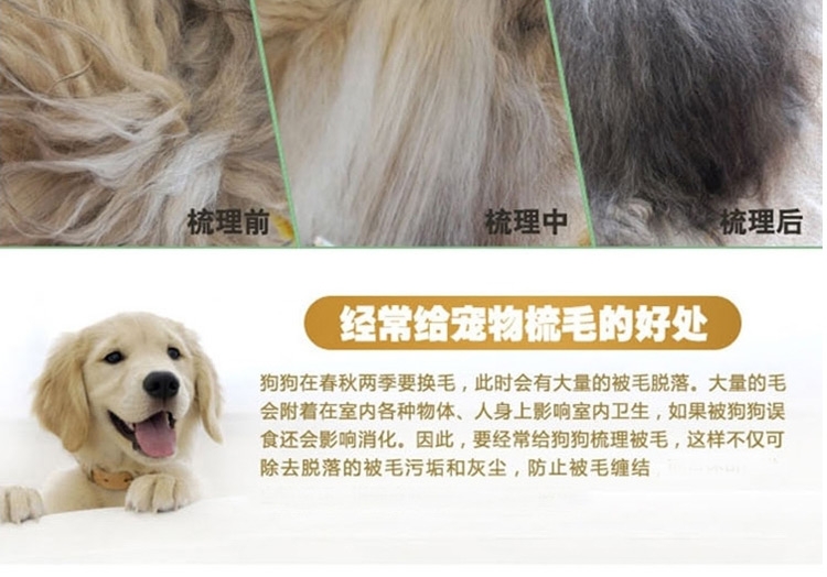 宝丽 木柄钢丝刷 猫狗通用