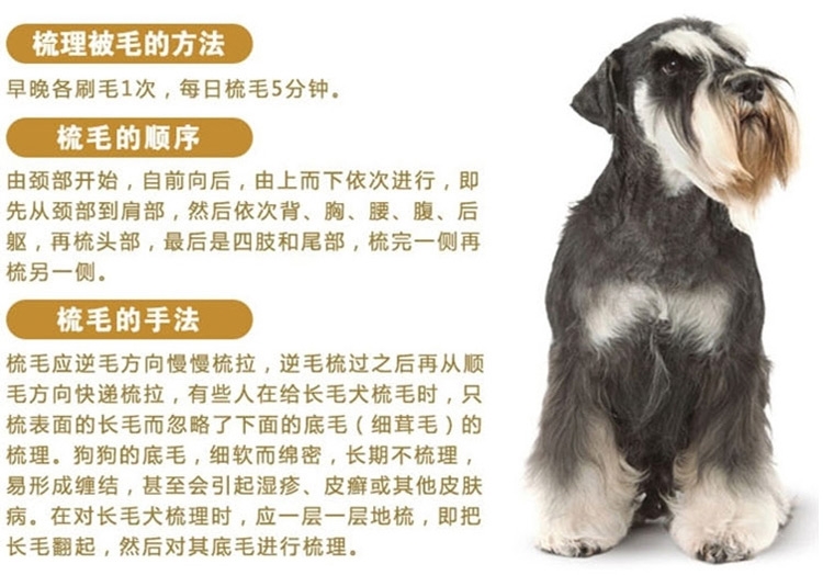宝丽 木柄钢丝刷 猫狗通用