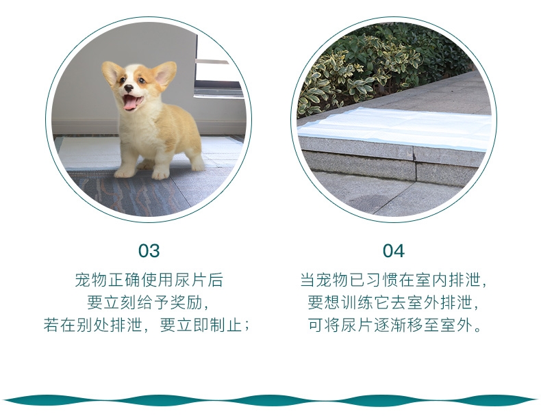 怡亲多可特 宠物尿片狗尿布尿垫 整包