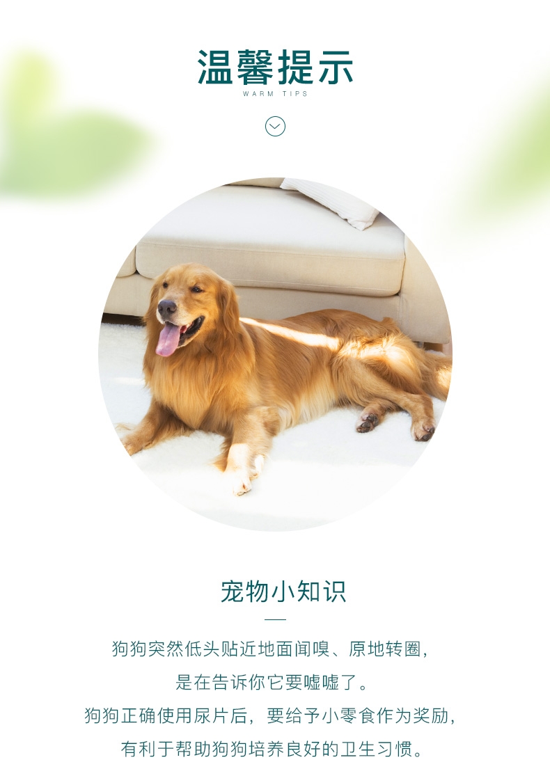 怡亲多可特 宠物尿片狗尿布尿垫 整包