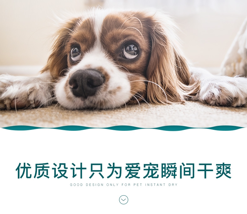怡亲 宠物尿片狗尿布尿垫 整包