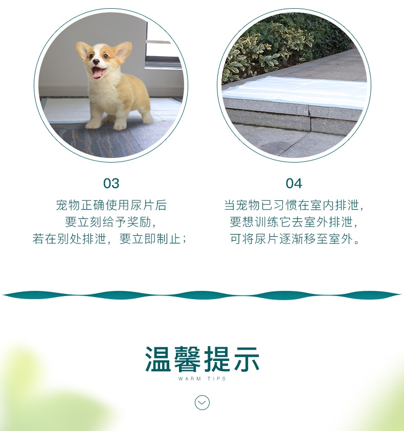 怡亲 宠物尿片狗尿布尿垫 整包