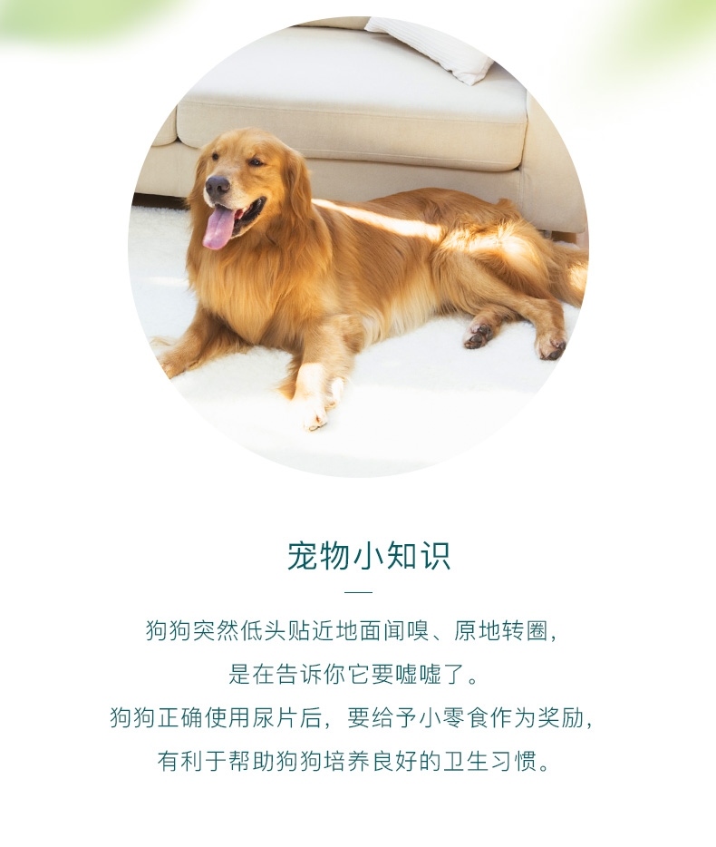 怡亲 宠物尿片狗尿布尿垫 整包
