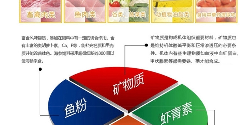 德国喜瑞SERA 锦鲤蓝绿藻增艳饲料色扬饲料鱼食