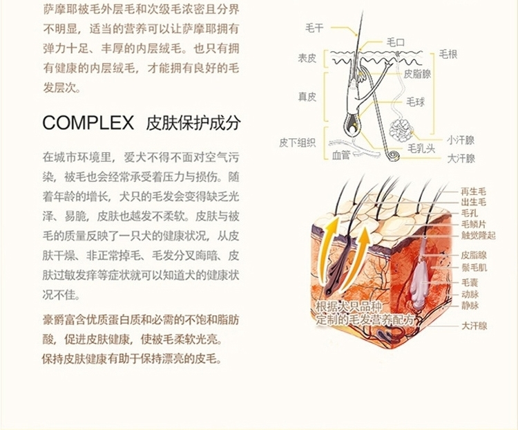 豪爵 萨摩成犬粮10kg