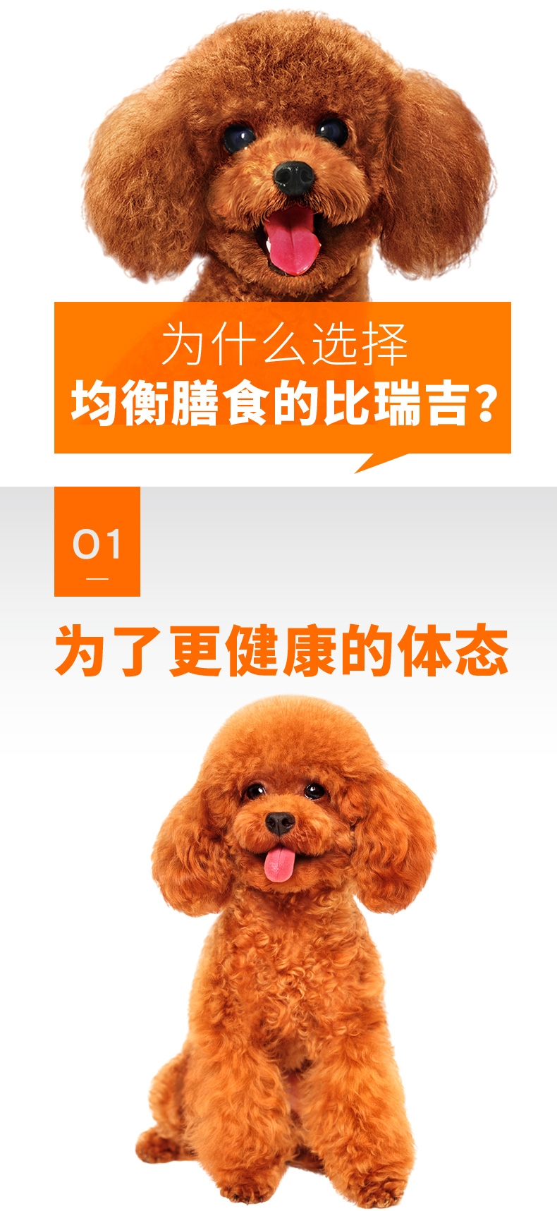 比瑞吉 泰迪贵宾成犬粮 2kg