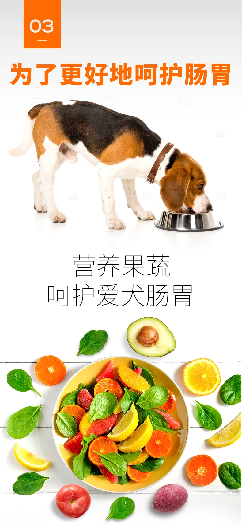 比瑞吉 泰迪贵宾成犬粮 2kg
