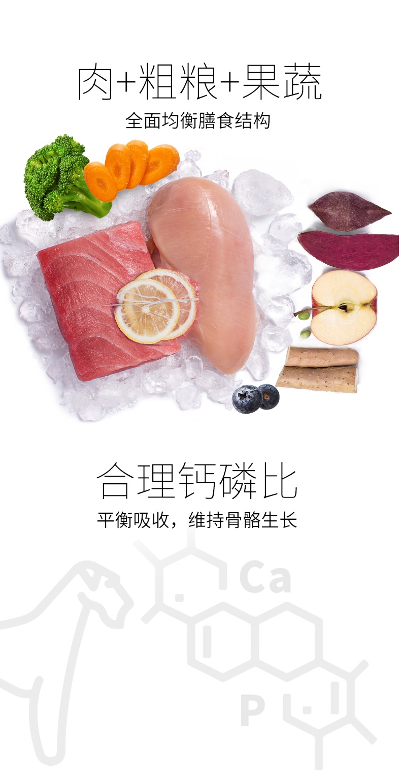 比瑞吉 室内小型成犬粮 2kg
