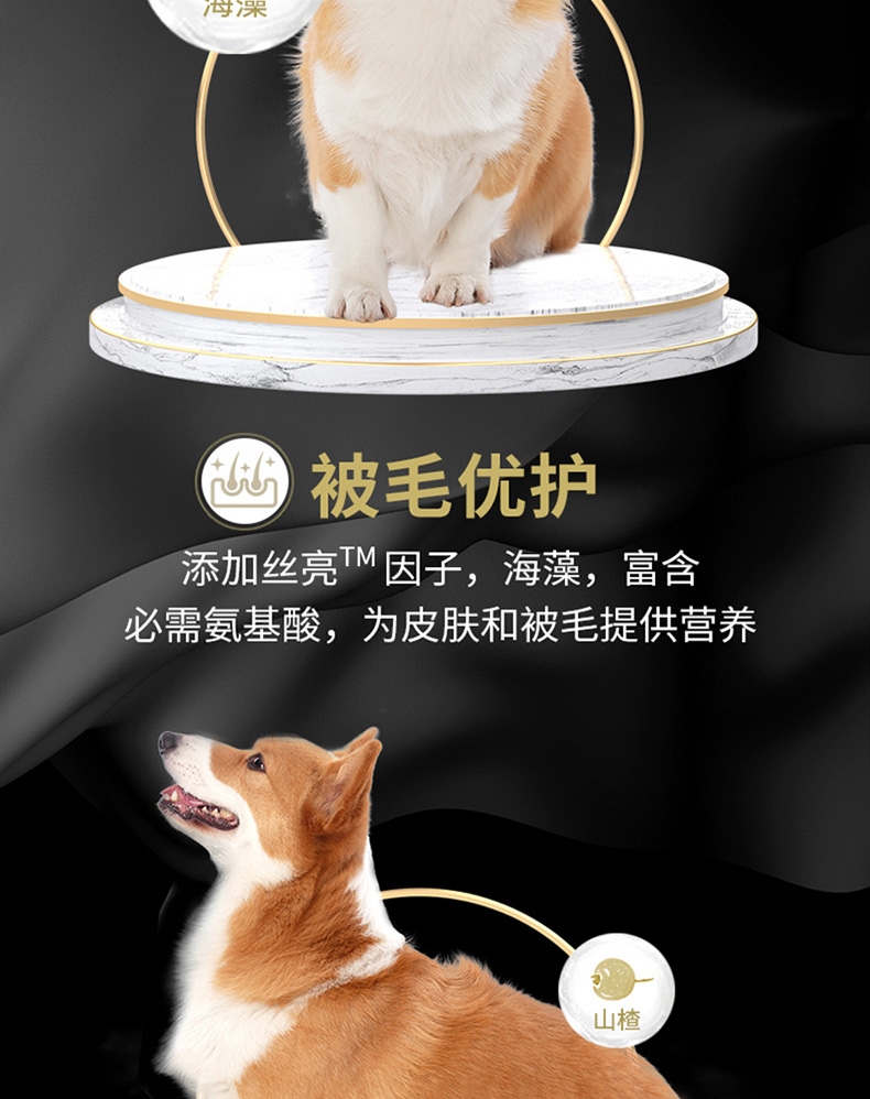 比瑞吉 室内小型成犬粮 2kg