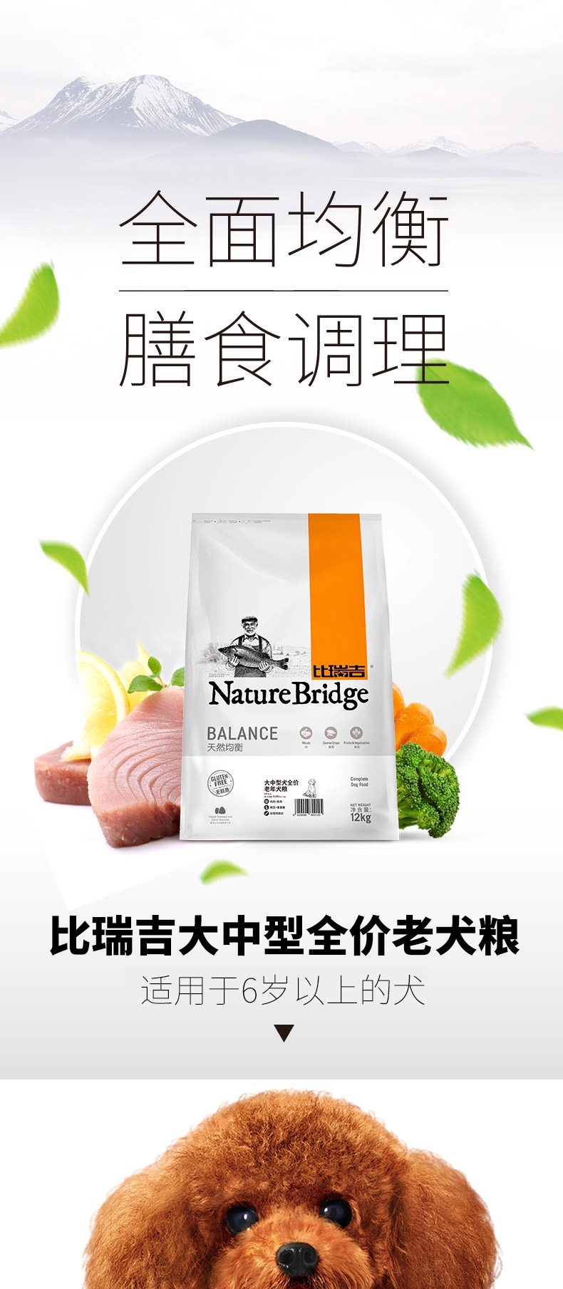 比瑞吉 大中型犬老年犬粮 12kg
