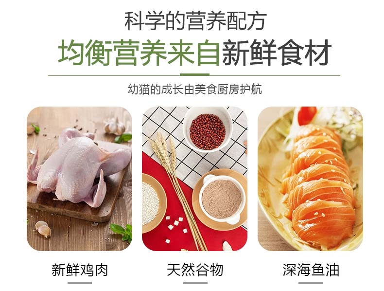 美食厨房 幼猫怀孕母猫奶糕猫粮 1磅454g