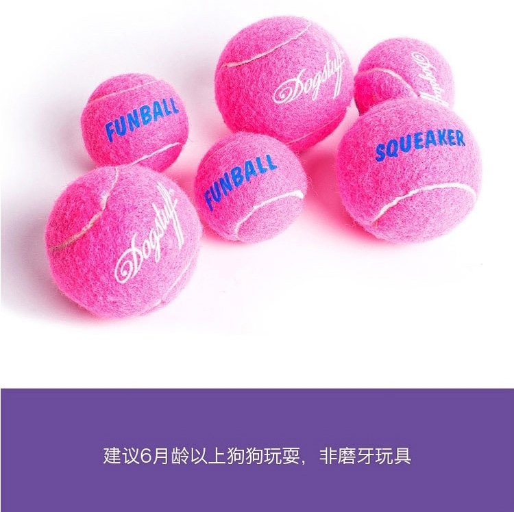 酷极Kyjen 超耐咬网球训导玩具 狗玩具单支