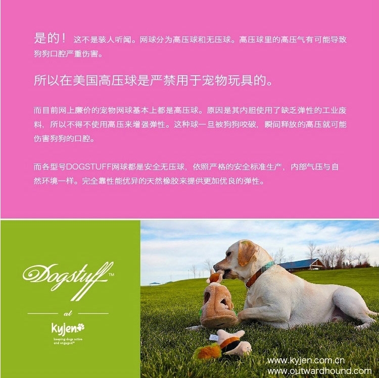 酷极Kyjen 超耐咬网球训导玩具 狗玩具单支