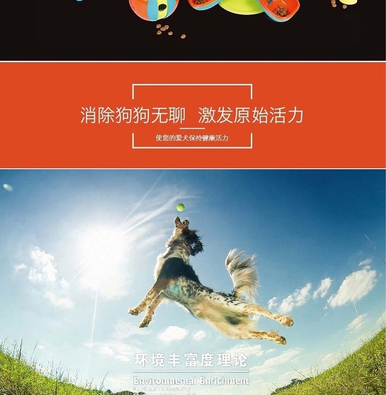 酷极Kyjen 火山寻宝益智狗狗玩具
