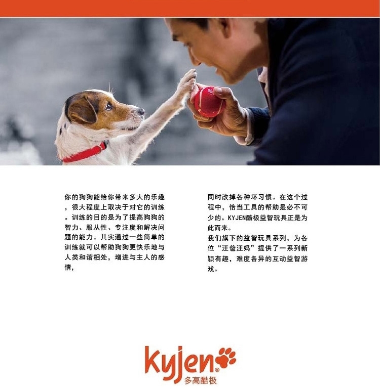 酷极Kyjen 火山寻宝益智狗狗玩具