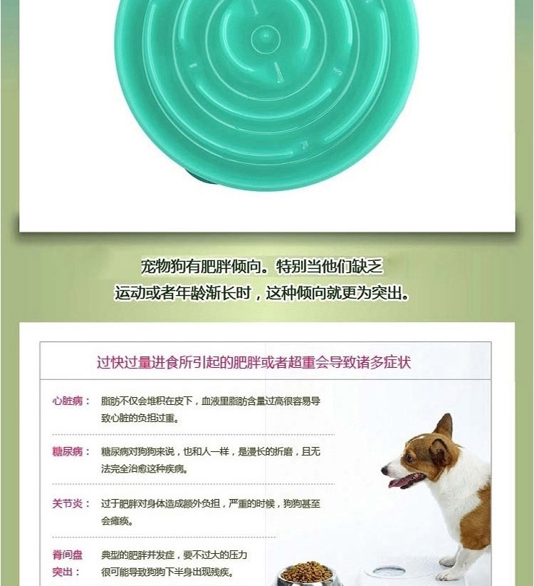 酷极Kyjen 益智时尚水滴型慢食盆缓食碗 多规格