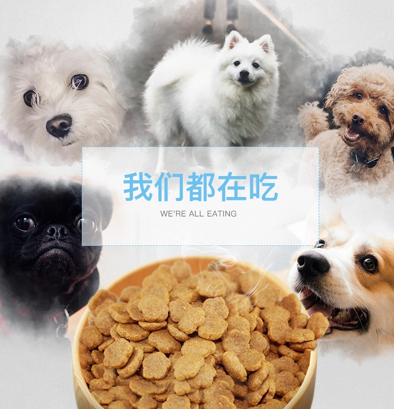 伯纳天纯 小型成犬粮天然无谷低敏配方狗粮1.5kg