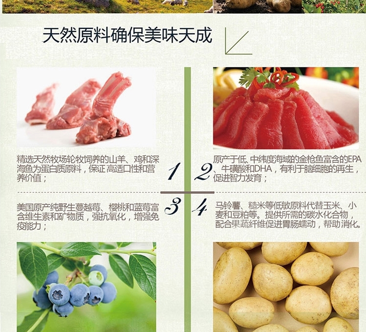 伯纳天纯 小型幼犬粮天然无谷低敏配方狗粮1.5kg