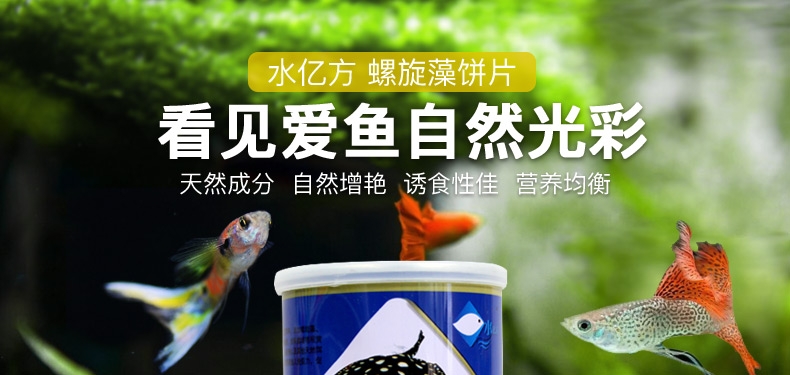 水亿方螺旋藻饼片水晶虾米虾底栖鱼鱼粮300g