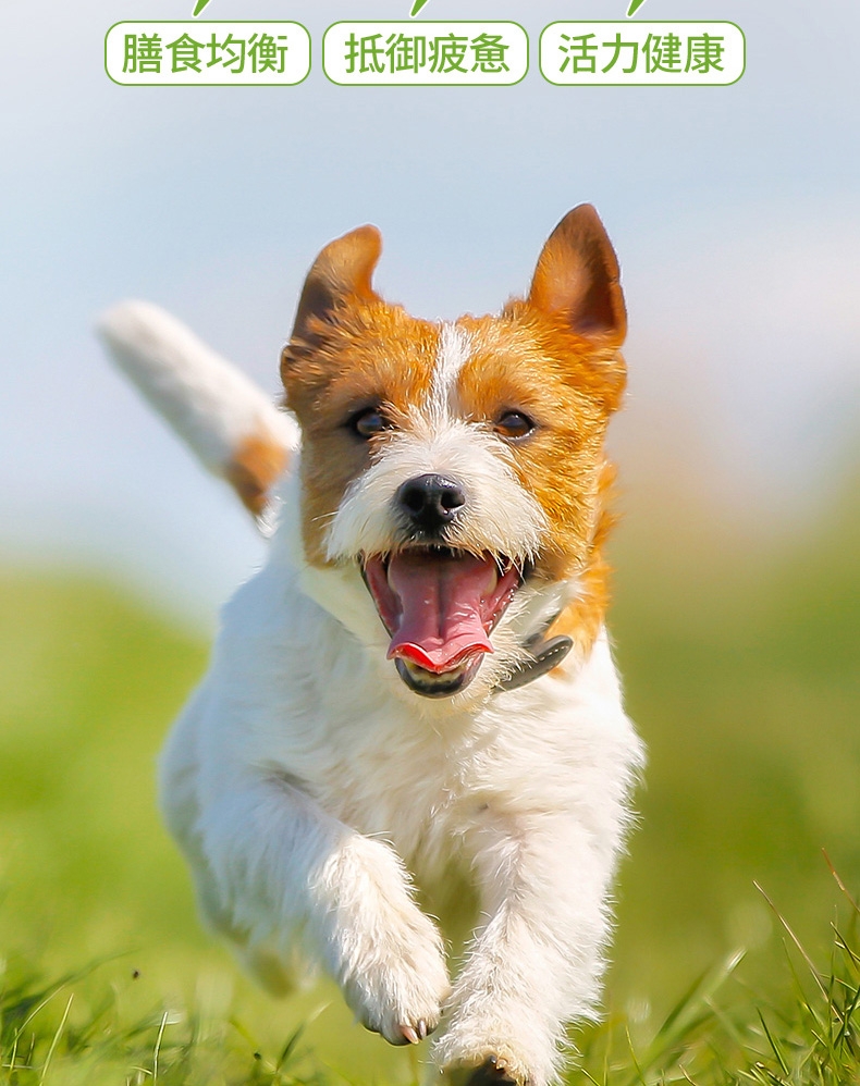 麦德氏inplus 犬用活力能量营养膏 120g 虚弱厌食改善