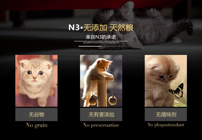 BOTH N3幼猫粮三文鱼鸭肉天然无谷配方猫粮(4lb)1.8kg C61