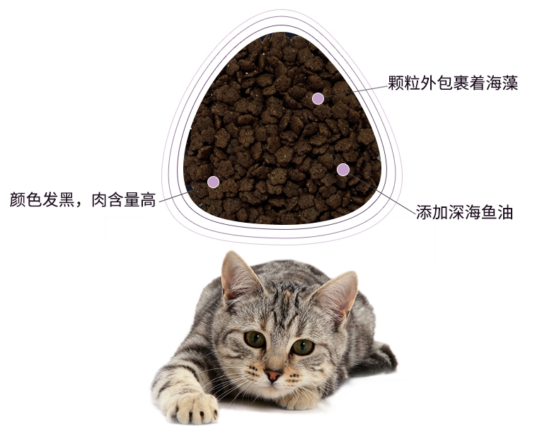 BOTH N3成猫粮三文鱼鸭肉天然无谷配方猫粮(4lb)1.8kg C62
