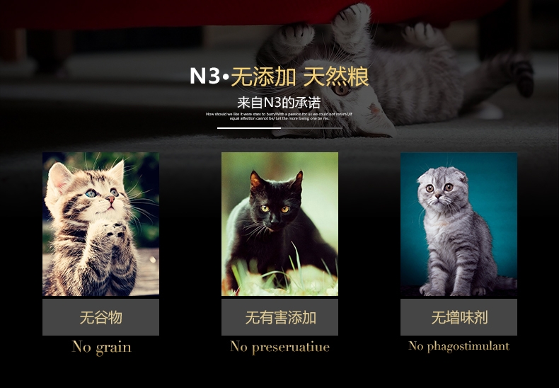 BOTH N3成猫粮三文鱼海藻天然无谷美毛防毛球猫粮(4lb)1.8kg C63
