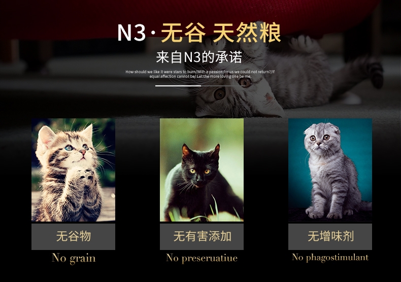 BOTH N3成猫粮三文鱼海藻天然无谷美毛防毛球猫粮(4lb)1.8kg C63