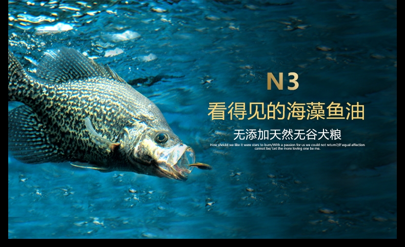 BOTH N3小型犬成犬粮鸭肉三文鱼天然无谷配方狗粮(4lb)1.8kg D52