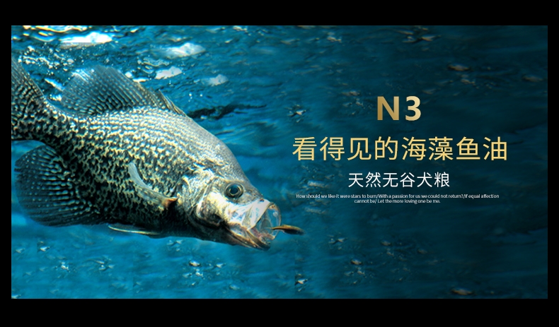 BOTH N3小型犬成犬粮鸭肉三文鱼天然无谷配方狗粮(4lb)1.8kg D52