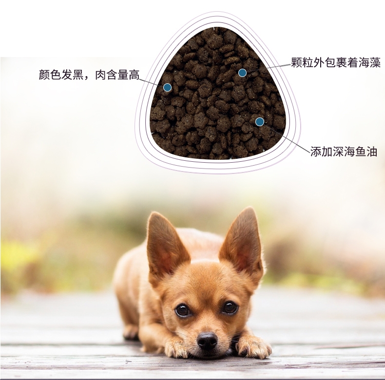BOTH N3小型犬成犬粮全价犬粮 6.8kg D52