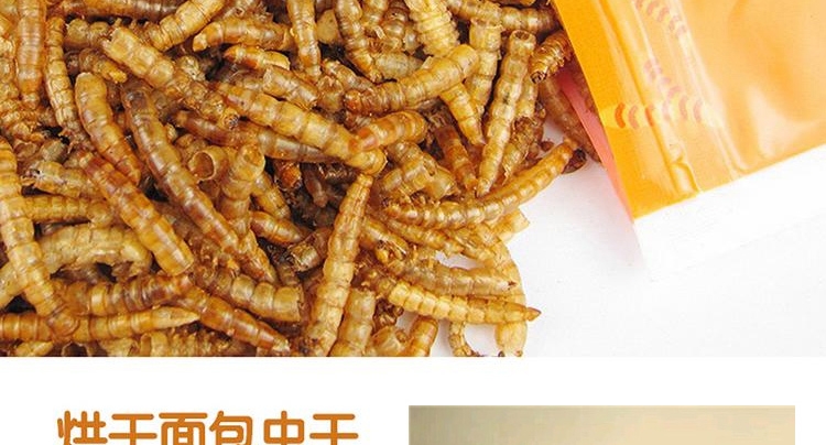 Minishow 迷你秀 小动物零食-面包虫干30g