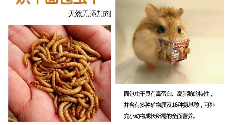 Minishow 迷你秀 小动物零食-面包虫干30g