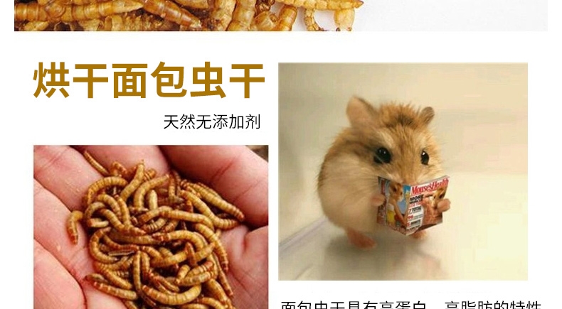 Minishow 迷你秀 小动物零食-面包虫干30g