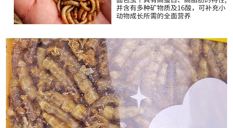 Minishow 迷你秀 小动物零食-面包虫干30g