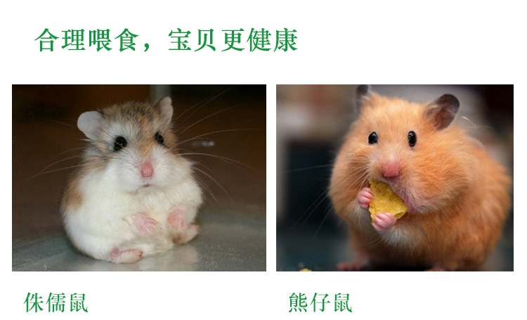 KY128凯莉仓鼠水果主粮600g
