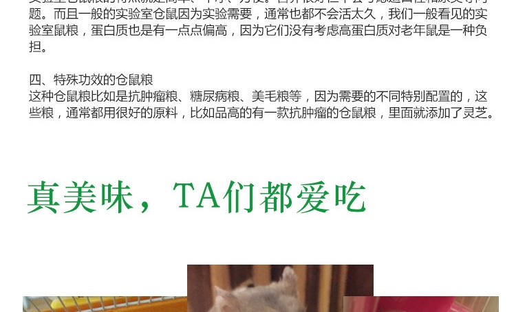 KY128凯莉仓鼠水果主粮600g