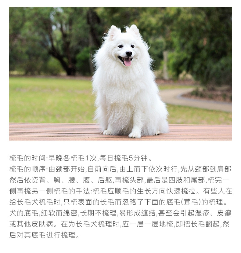 日本多格漫Doggyman 猫狗通用木制长柄双面针梳