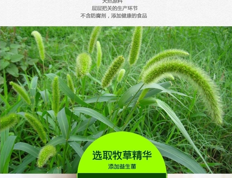 NEW AGE健康天竺鼠/荷兰猪粮/饲料500g