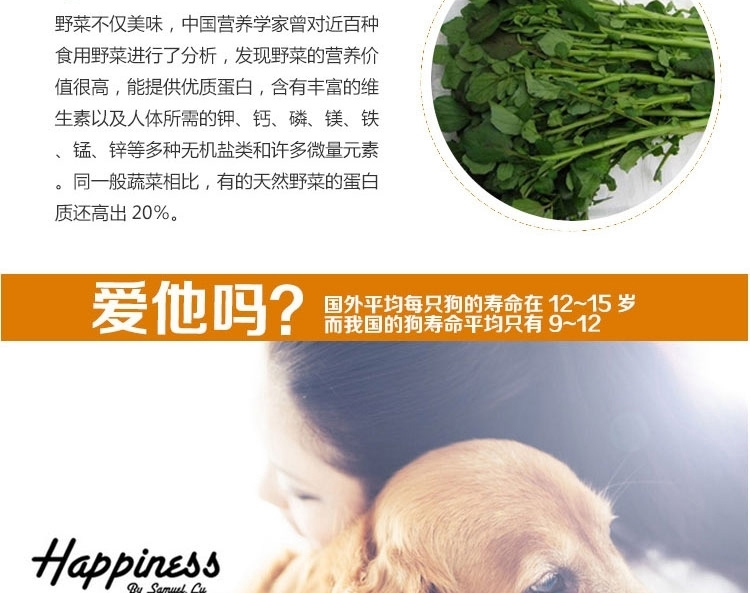 爱丽思IRIS 宠物零食 三连狗罐头鸡肉味100g*3罐 狗湿粮